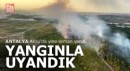 Antalya yine orman yangını ile uyandı