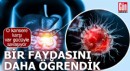 Bir faydasını daha öğrendik! O kansere karşı var gücüyle savaşıyor