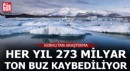 Her yıl ortalama 273 milyar ton buz kaybediliyor