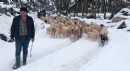 Karda mahsur kalan çoban ve ailesi kurtarıldı