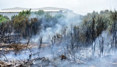 Kepez'deki yangın makilik alandan nar bahçesine sıçradı