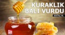 Kuraklık ve iklim değişikliği bal üretimini vurdu