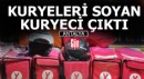 Kuryecileri soyanlar kuryeci çıktı