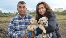 Öldürülen köpeğin bir yavrusu daha sağ bulundu