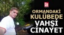 Ormandaki kulübede vahşi cinayet