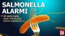 Salmonella alarmı: 48 saatte üreyebilir