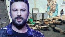 Tarkan'dan Gebze'de yaşanan hayvan katliamına tepki