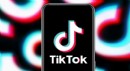 TikTok'a 1 yıl erişim engeli