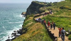 Vietnamlı turistler Jeju Adası’nda kayboldu