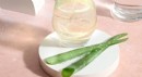 Vücudunuzun Dengesi İçin Sağlıklı Destek Aloe Vera Suyu