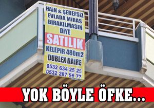 Yok böyle öfke